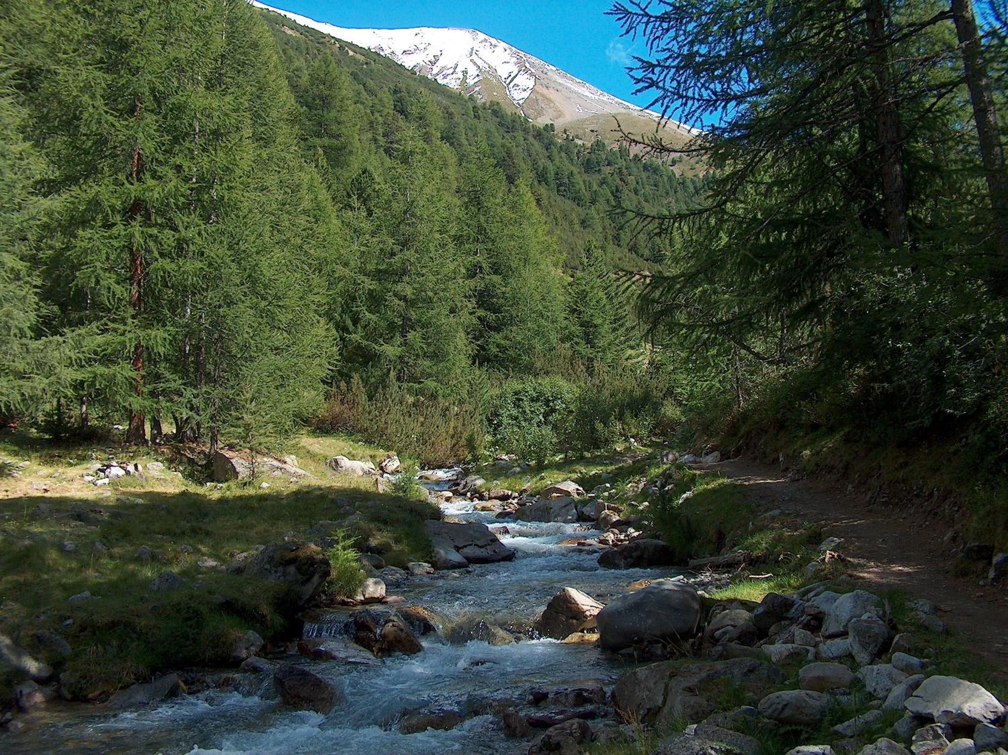 Hotel Duc De Rohan Livigno Dış mekan fotoğraf