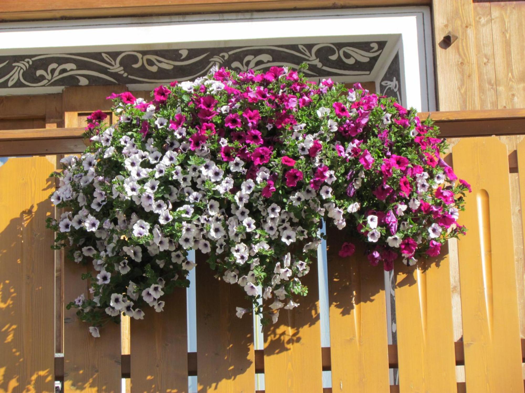 Hotel Duc De Rohan Livigno Dış mekan fotoğraf