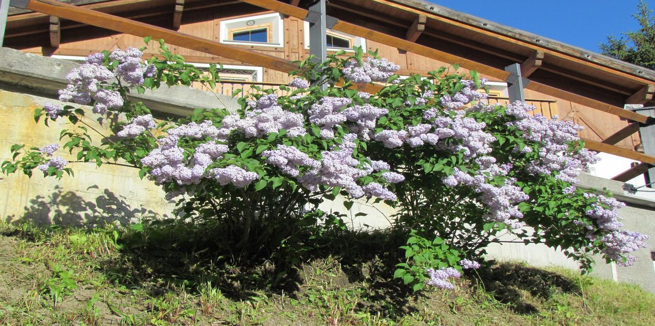 Hotel Duc De Rohan Livigno Dış mekan fotoğraf